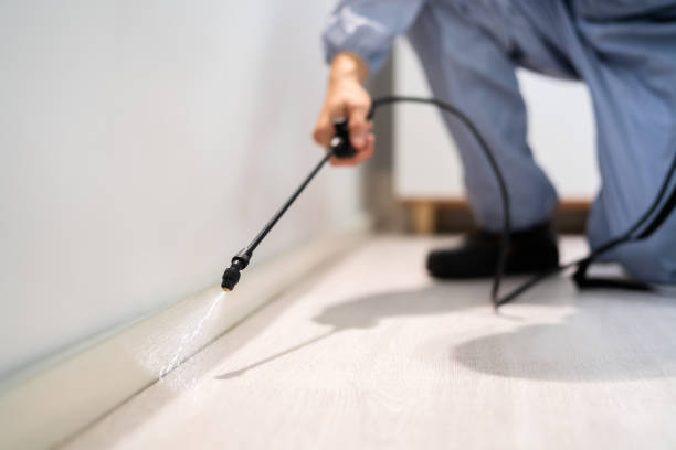 Licensed Pest Control service in St. Helena, CA - Show Me Pest Control